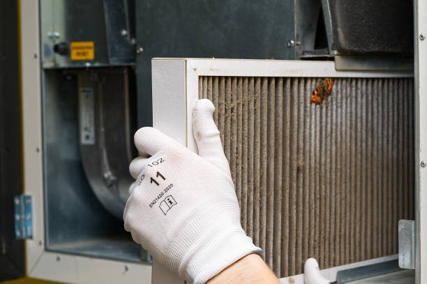 Best Dryer Vent Cleaning Services  in Mendon, IL