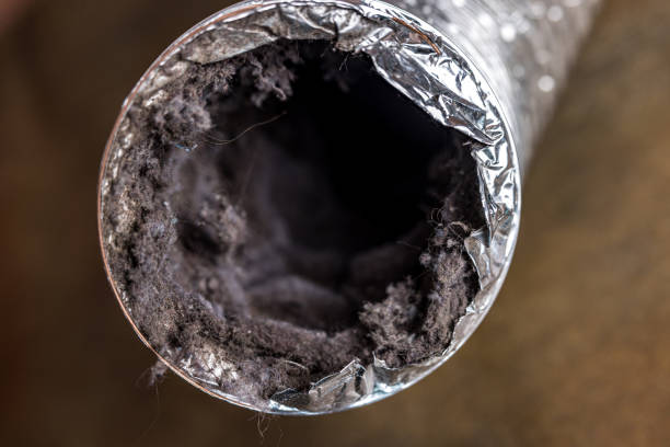 Best Affordable Air Duct Cleaning  in Mendon, IL